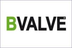 B valve