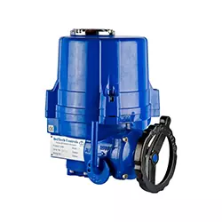 delvalve1