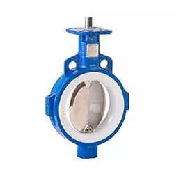 delvalve2