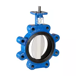 delvalve3